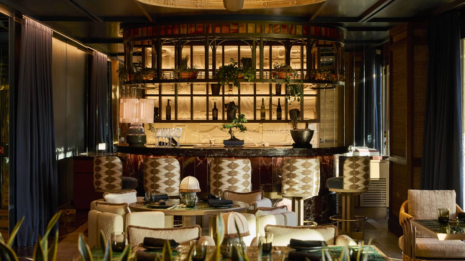 A modern bar area with patterned bar stools, wooden shelving and green plants