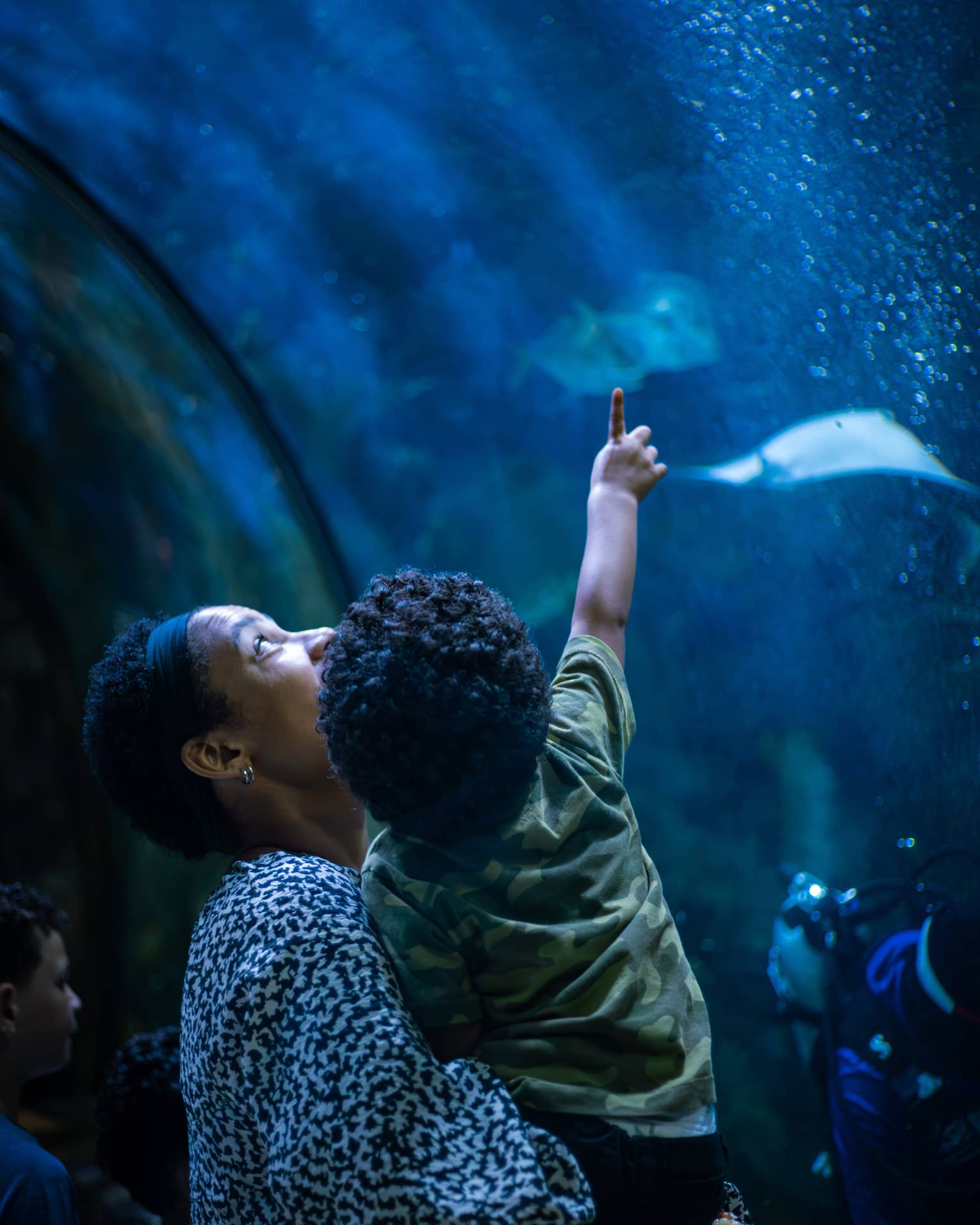 View from behind of a parent holding a toddler who is pointing upward at two stingrays in a bubbly, deep-blue aquarium.