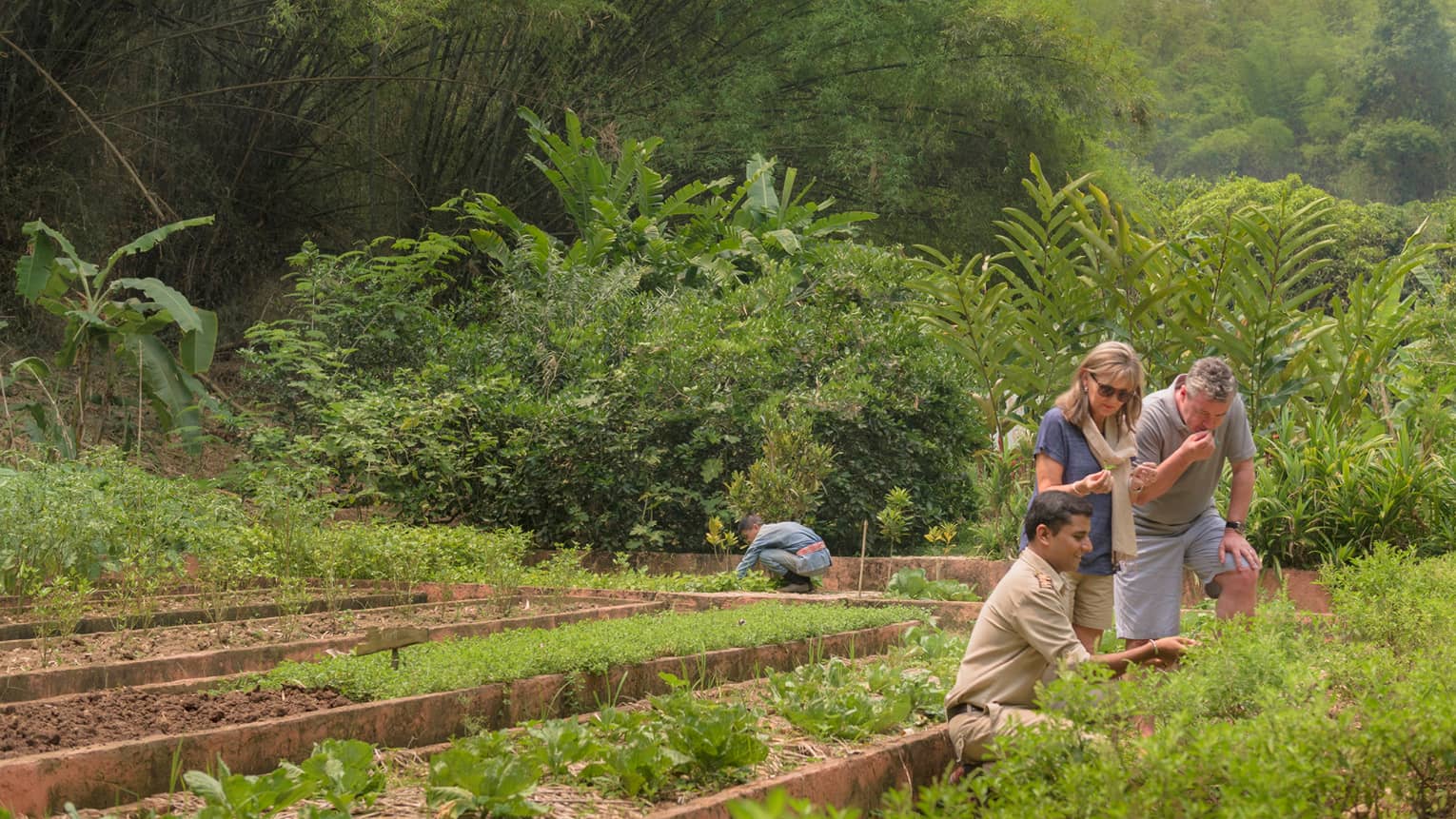 Couple is shown regional herbs, fruits and vegetables by kneeling staff member in lush garden