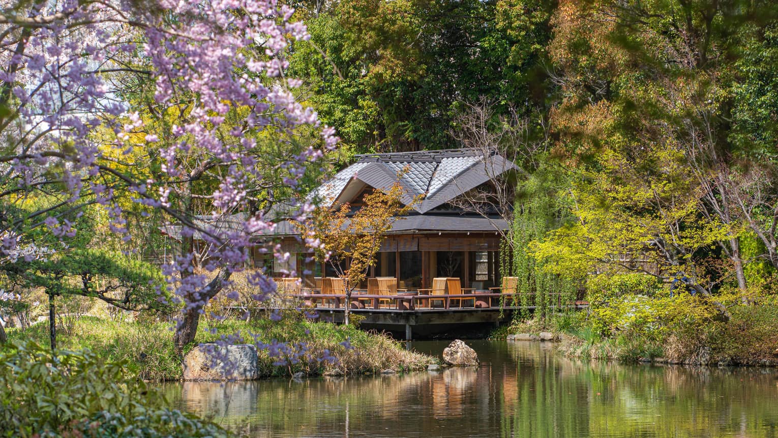 Overwater building in spring framed by blooming cherry blossoms