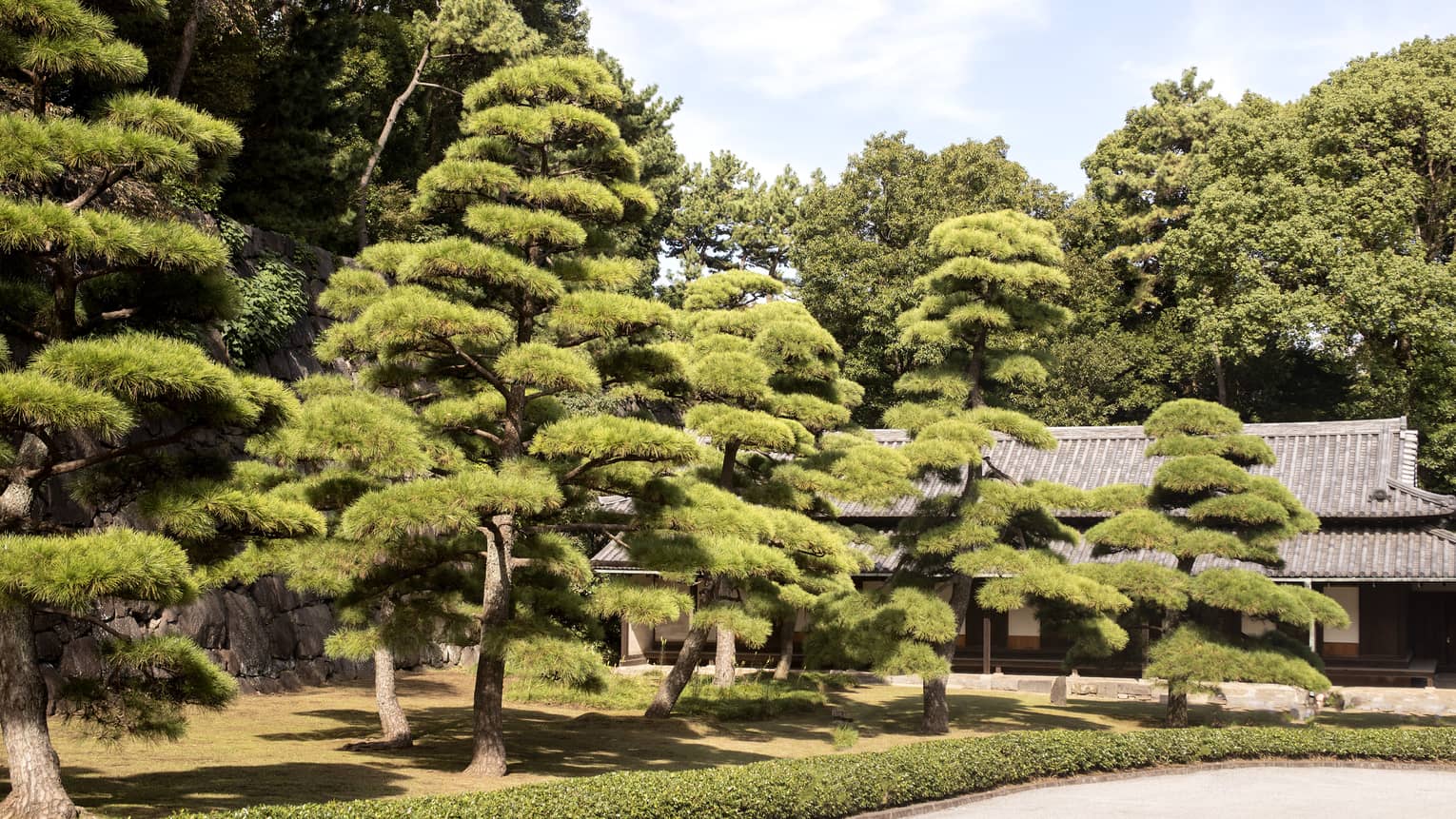 Mature trees outside of the Imperial Garden