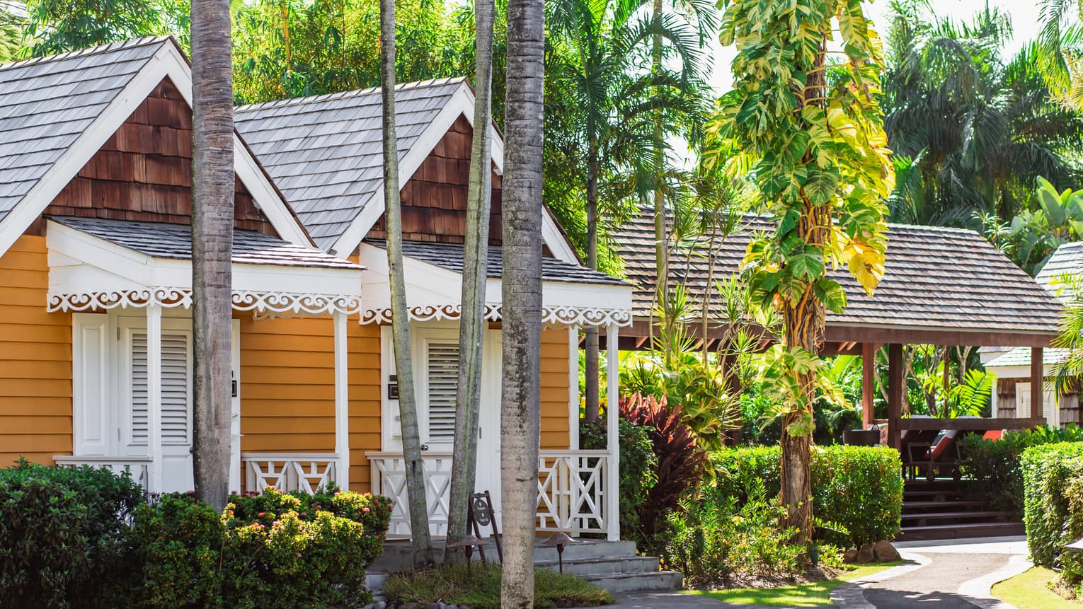 A small wooden building on a path surrounded by palm trees and plants.