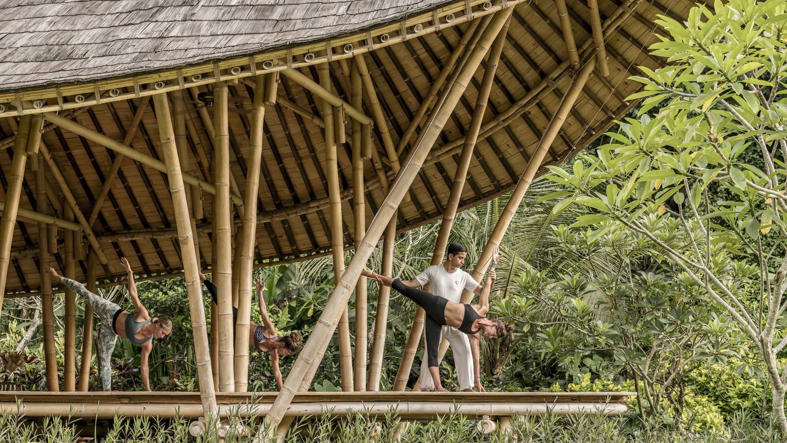 A group does yoga in a bamboo pavillion