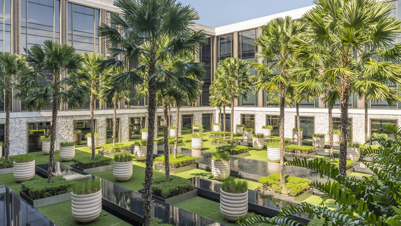 Palm Courtyard with towering palms and potted greenery
