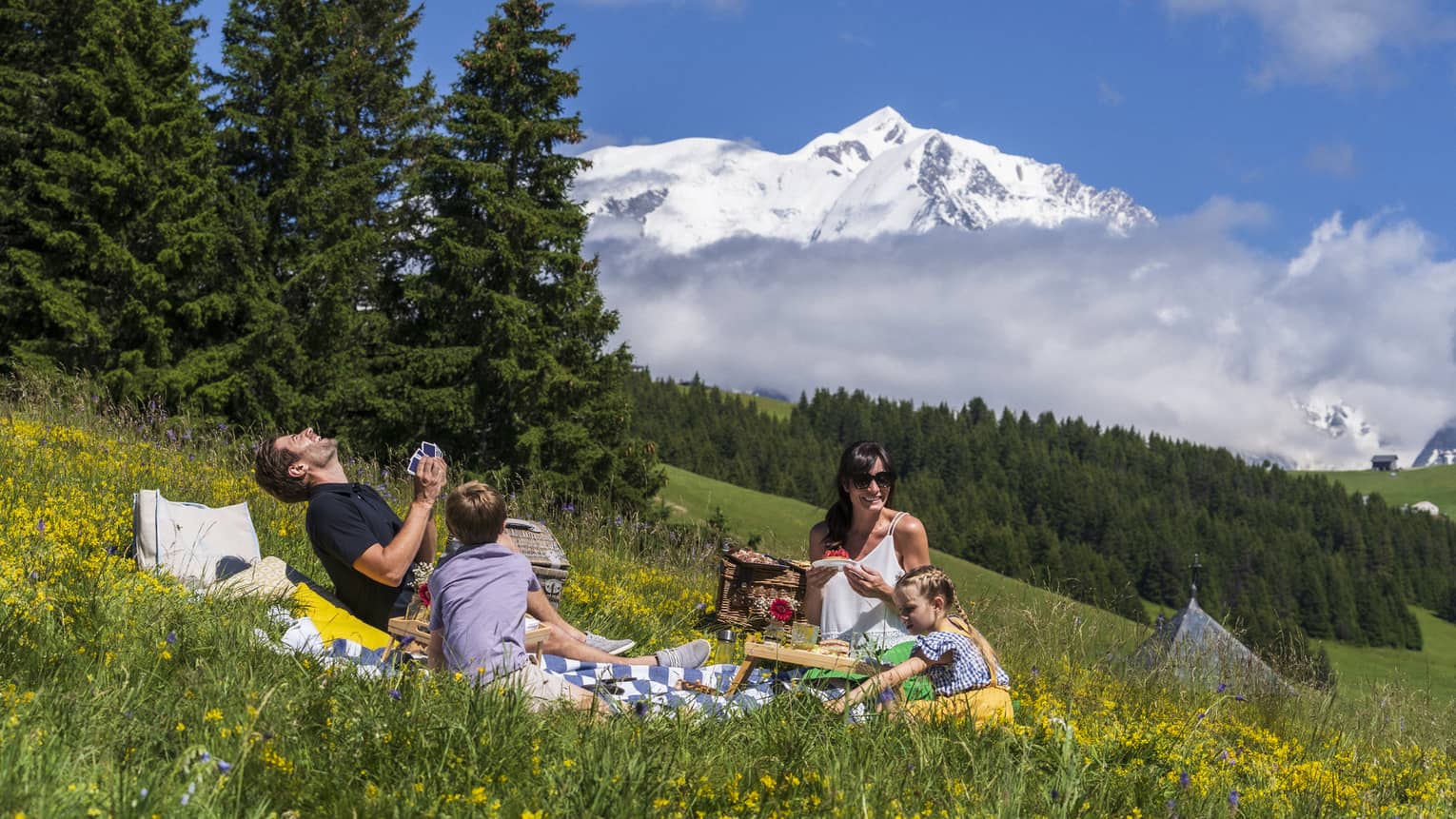 Family enjoying a picnic in a meadow among evergreens and snow-capped mountains in the distance