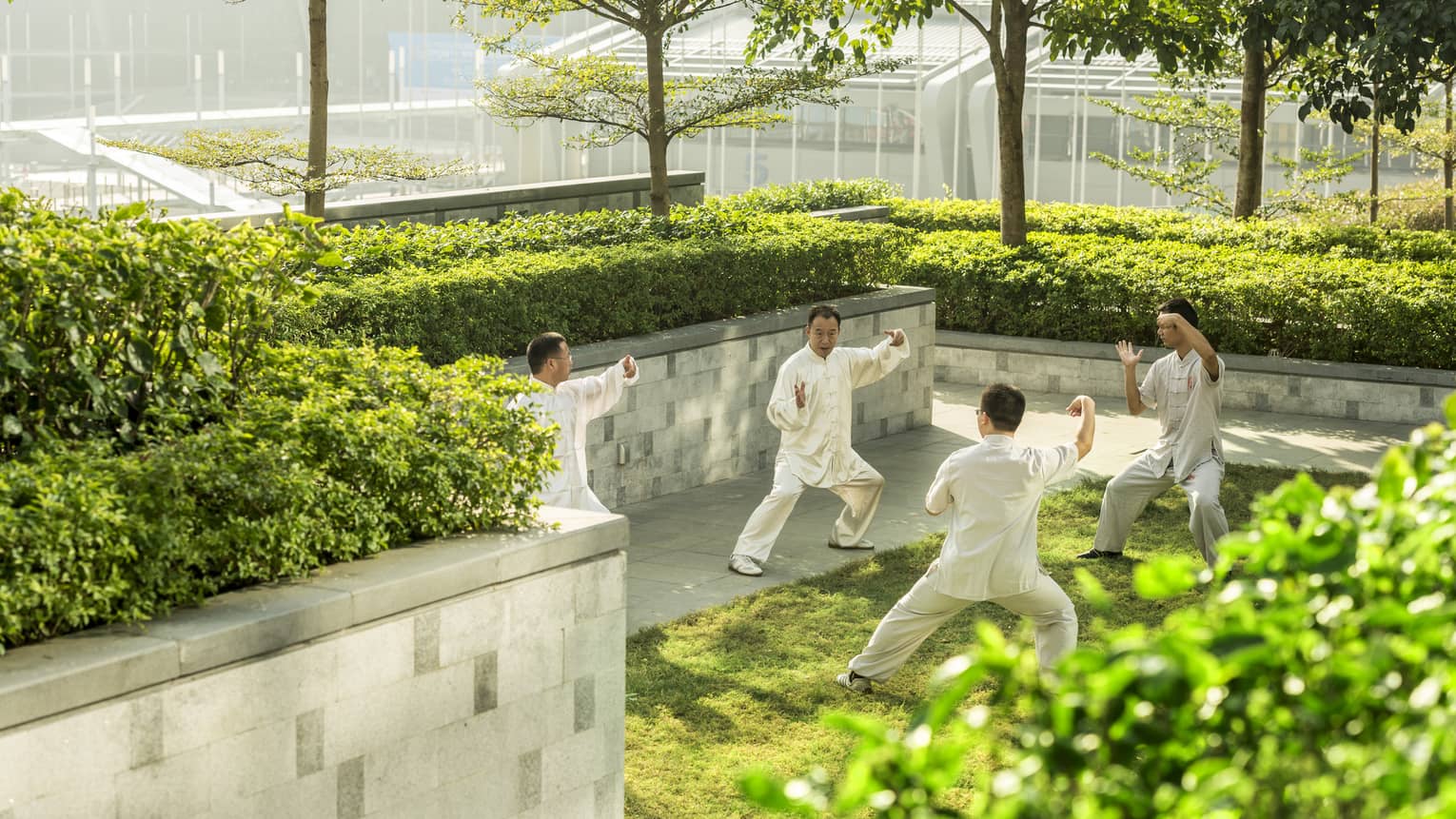 Mean wearing white practice tai-chi in sunny garden