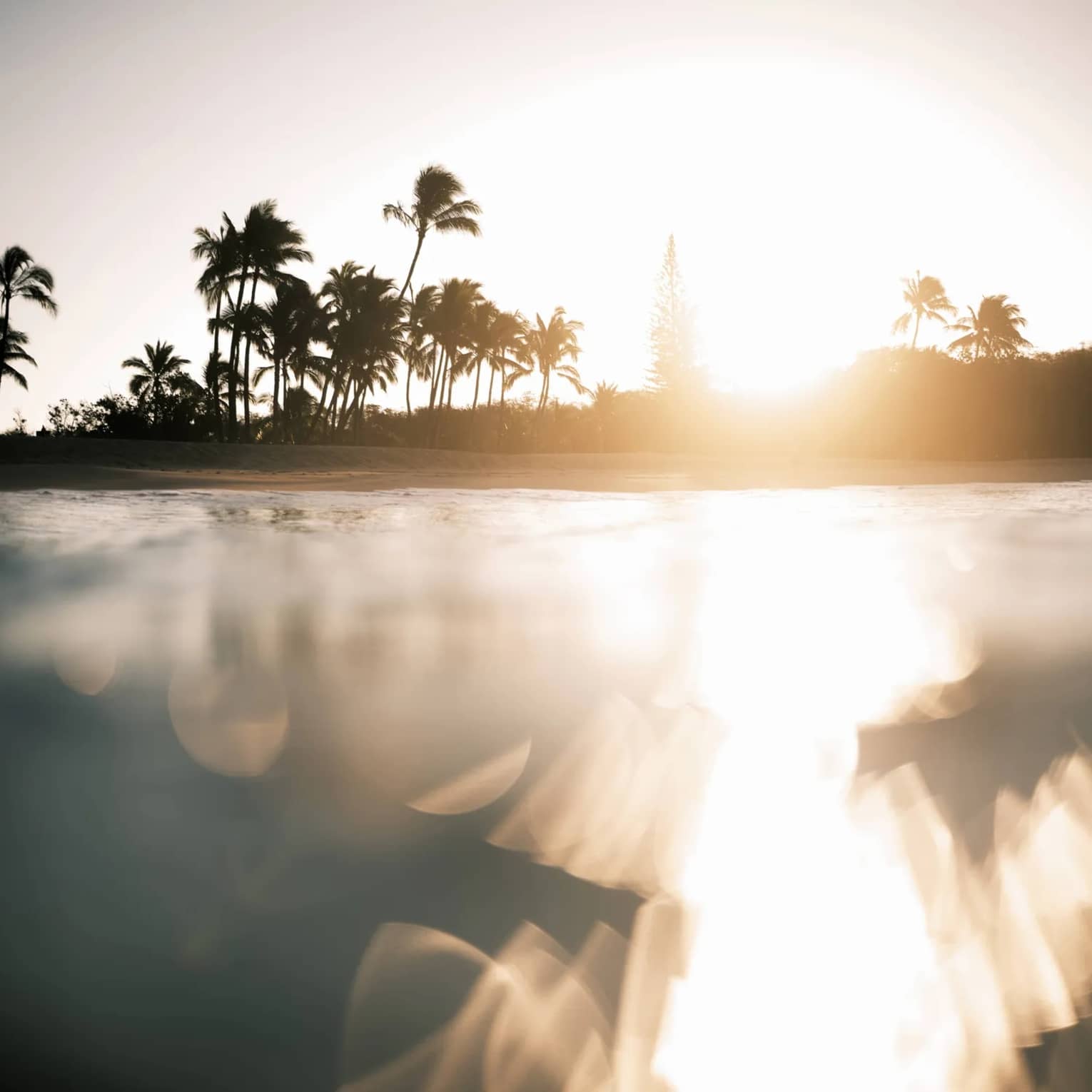 Sun on the horizon