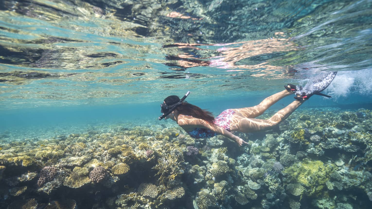 A woman snorkeling in the ocean.