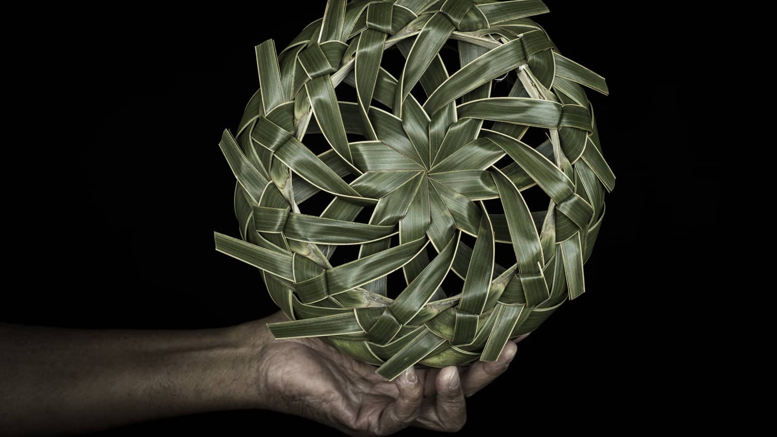 A hand holding a spinning wheel of palm fronds.
