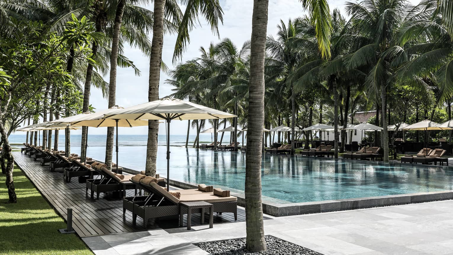 Luxury Beach Resort Vietnam Four Seasons Hoi An Lounge Chairs Patio Umbrellas Large Palm Trees Line Outdoor Swimming Pools