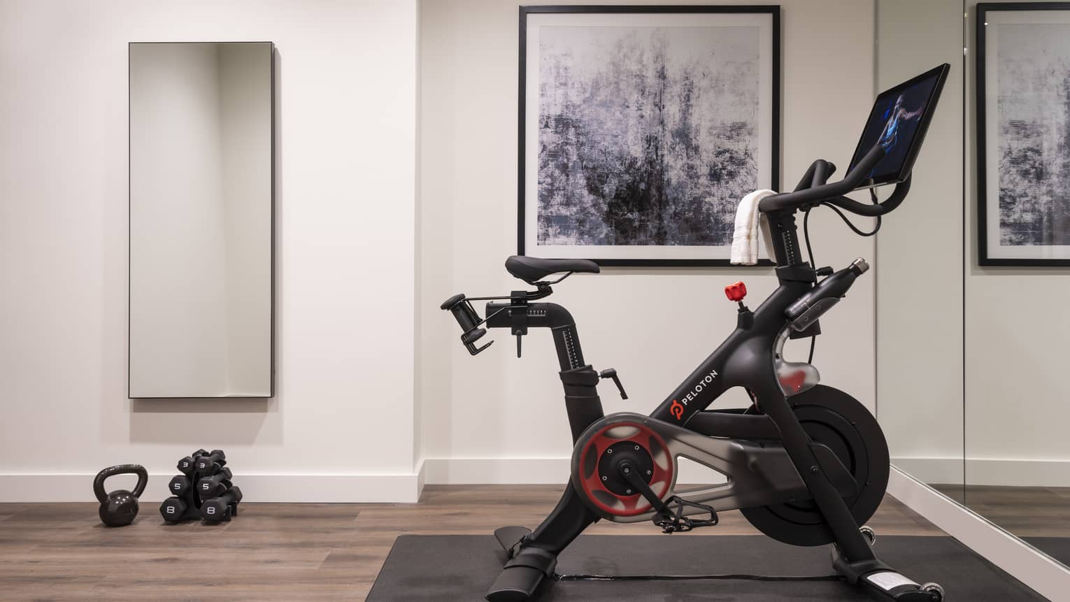 An exercise area with a stationary bike, a kettle ball and various dumbbells.