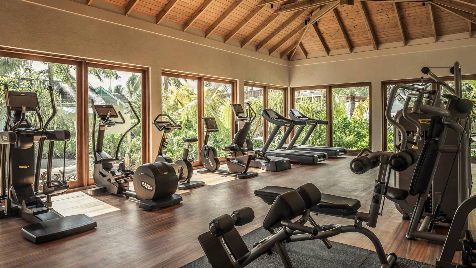A bright, spacious gym with vaulted ceiling featuring various exercise machines and a view of lush palms from large windows.