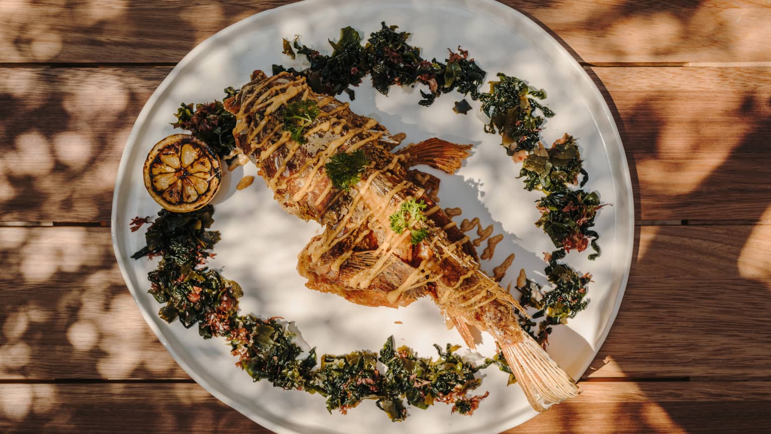 An artistic white plate holds a food item surrounded by decorative garnishes.