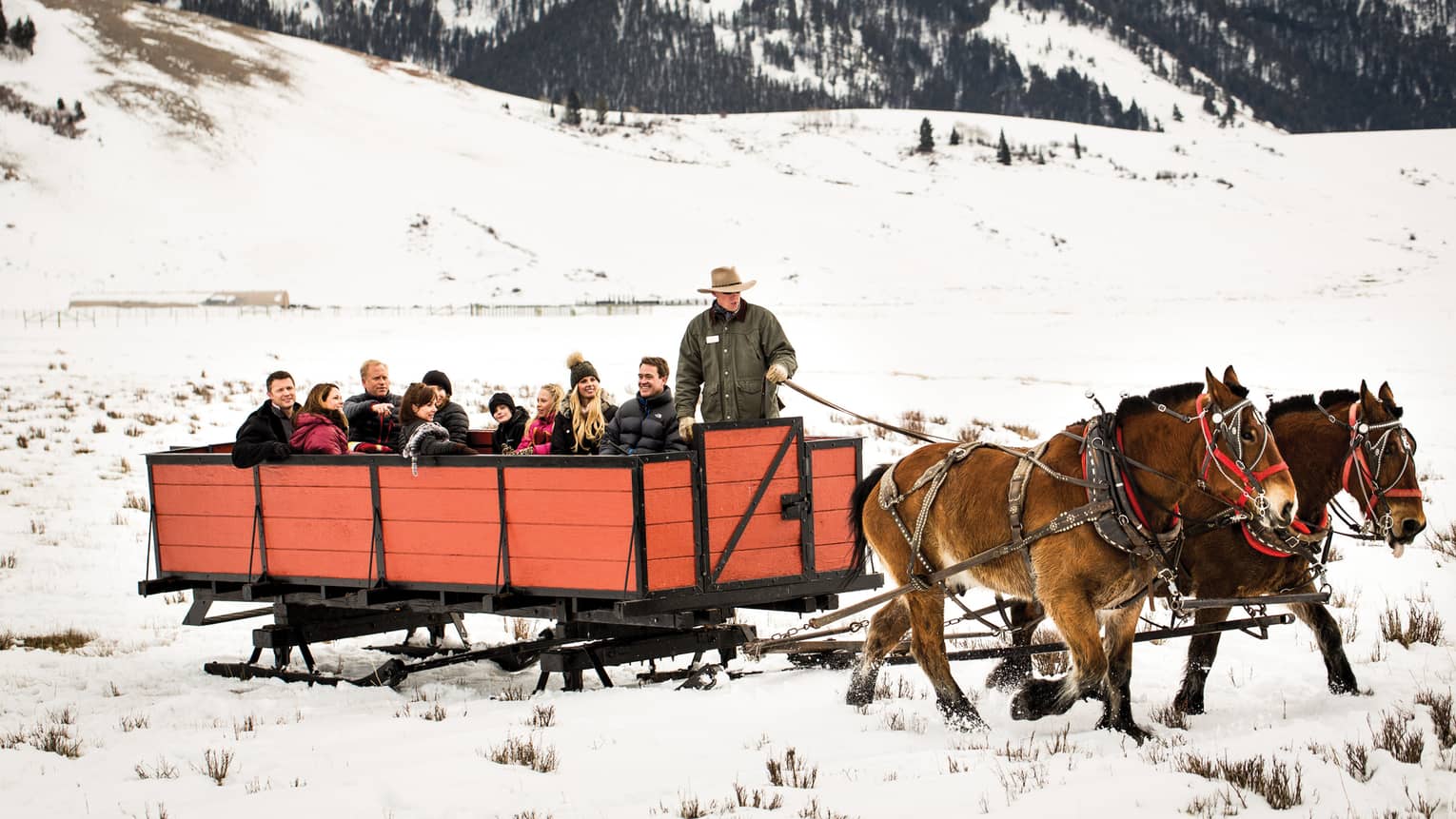 guests take a sleigh ride in the snow at Jackson Hole