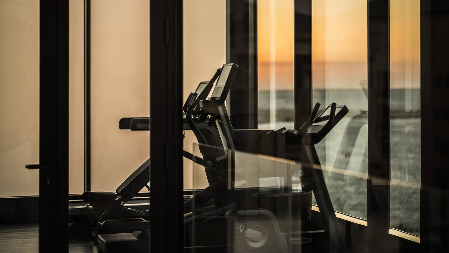 Cardio equipment in a private, glass-walled gym with floor-to-ceiling windows overlooking the city at dusk