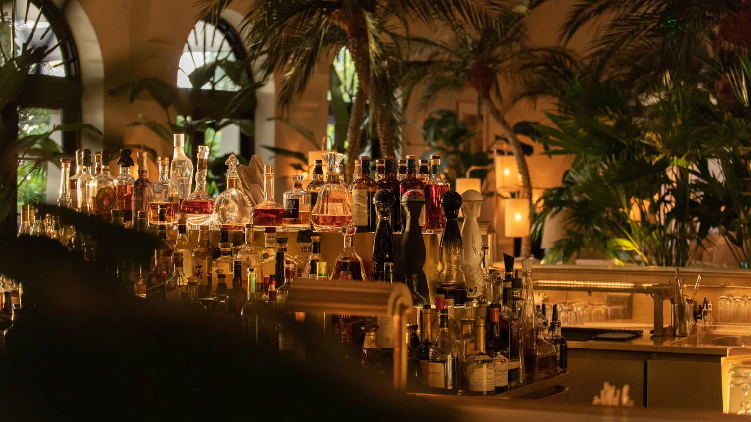 Bar area set in the centre of a room surrounded by palm trees