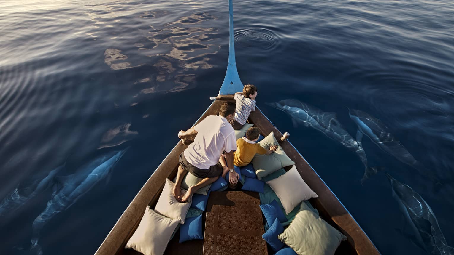 A man and two boys sit in a boat lined with blue and white pillows as dolphins swim around them