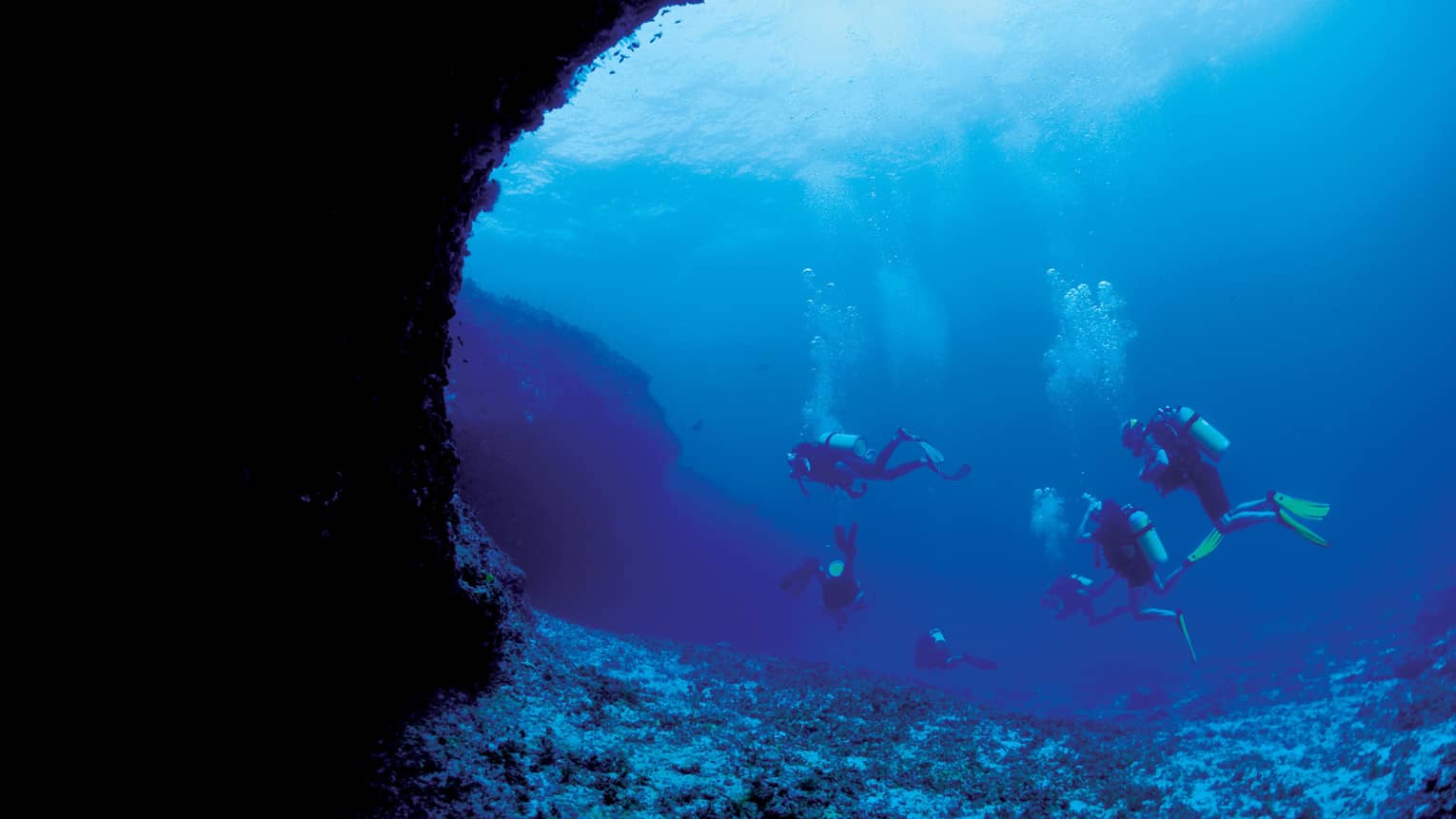 Scuba divers in the ocean. 