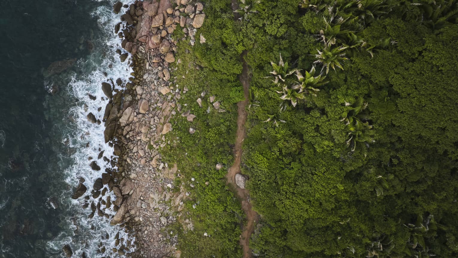 Aerial view of a rocky beach