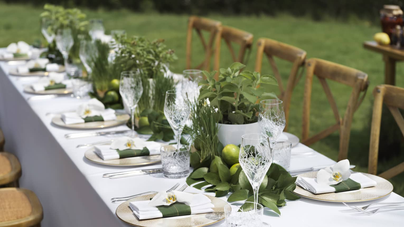 Long outdoor garden dining table set with lemons, pots of herbs and rustic chairs