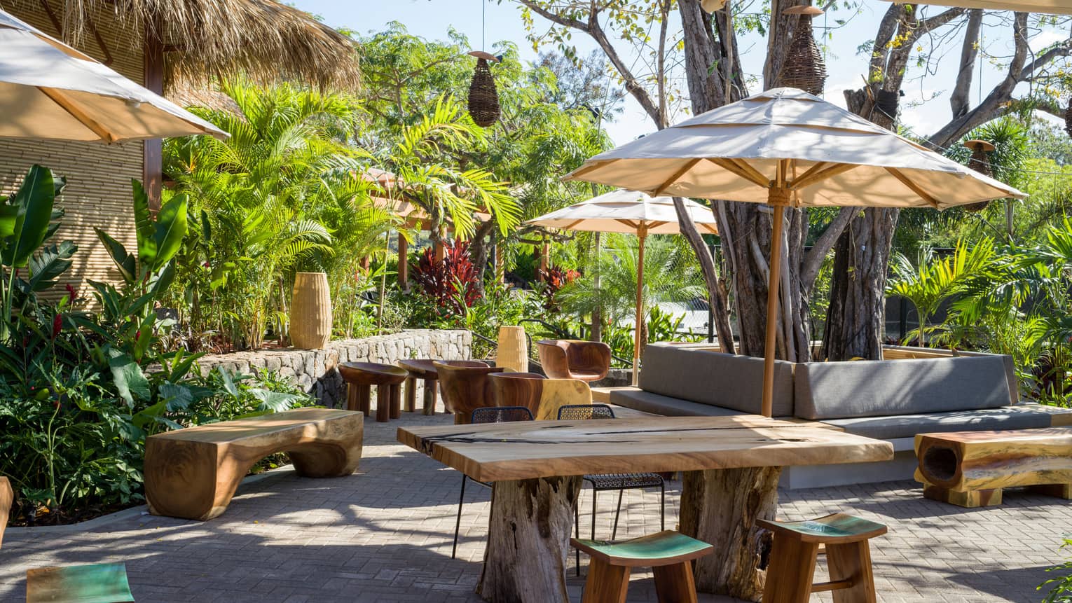 Several picnic tables with brown umbrellas, surrounded by palm trees.