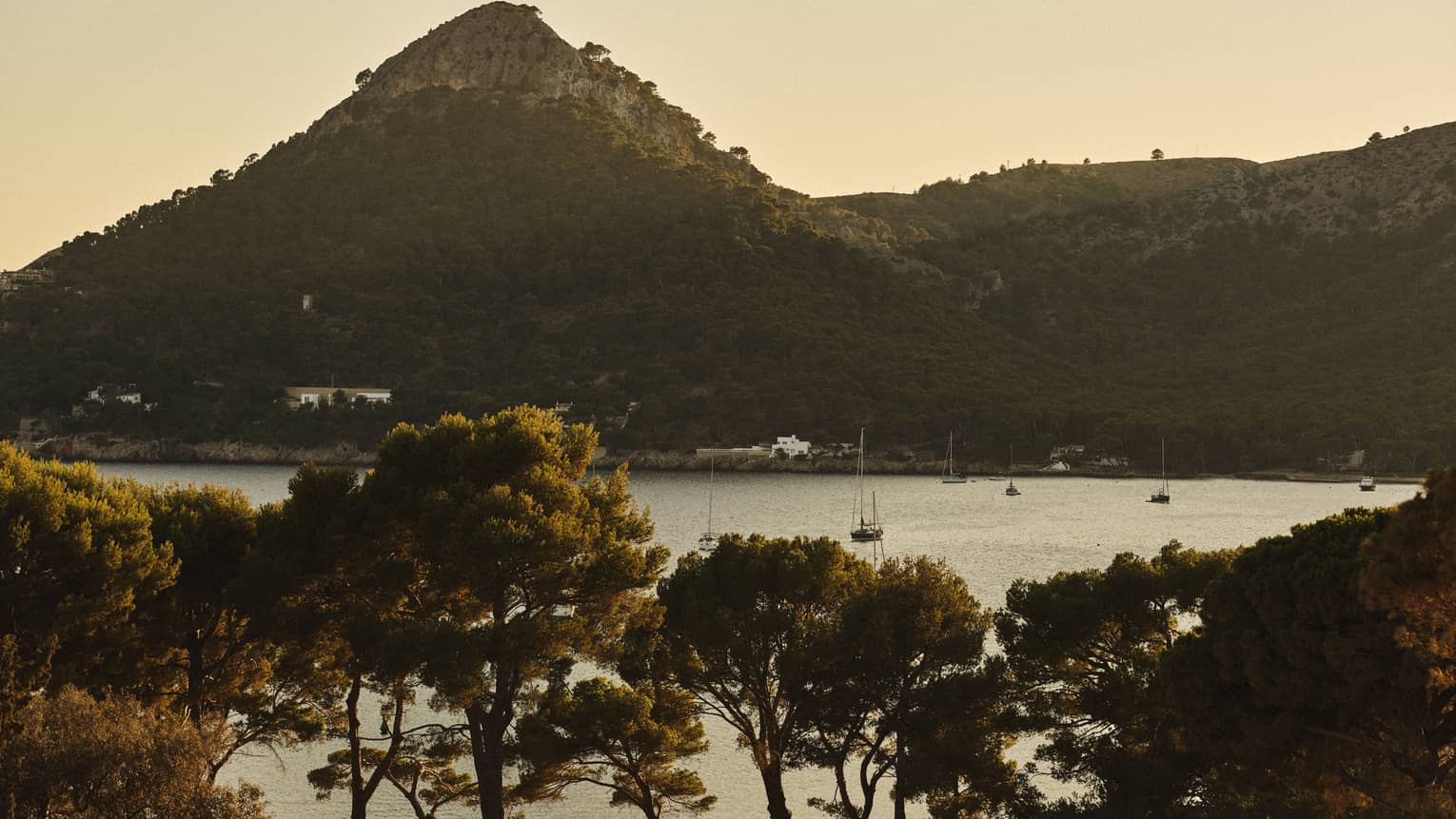 View of the Bay of Formentor and pine trees from Four Seasons Resort Mallorca
