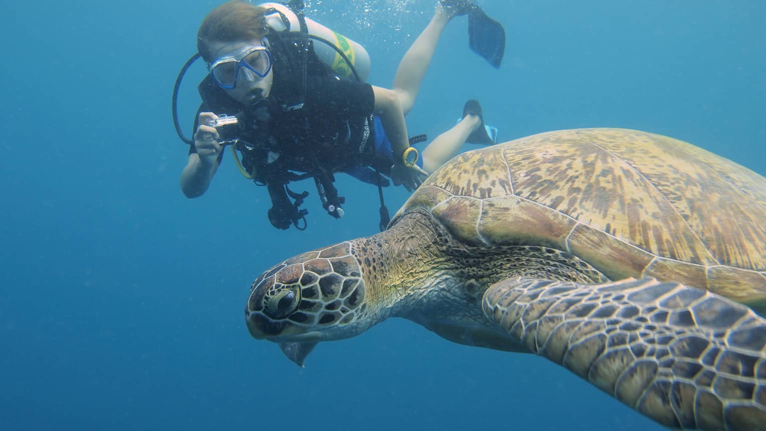 Scuba diver with underwater camera takes photo of large turtle