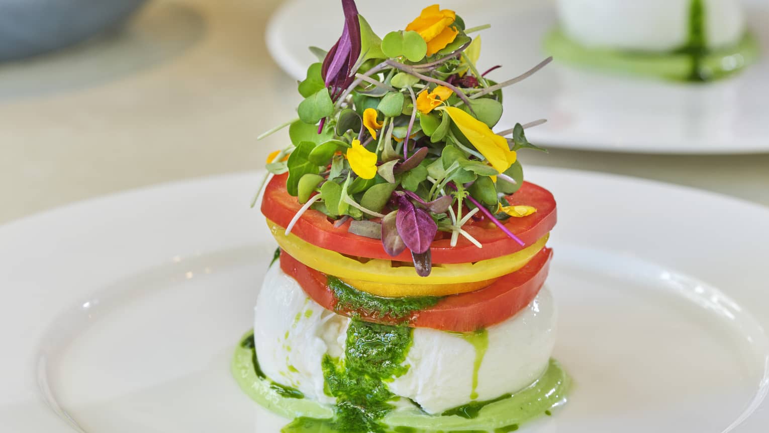 Ball of burratta topped with pesto, sliced tomatoes and microgreens on white plate