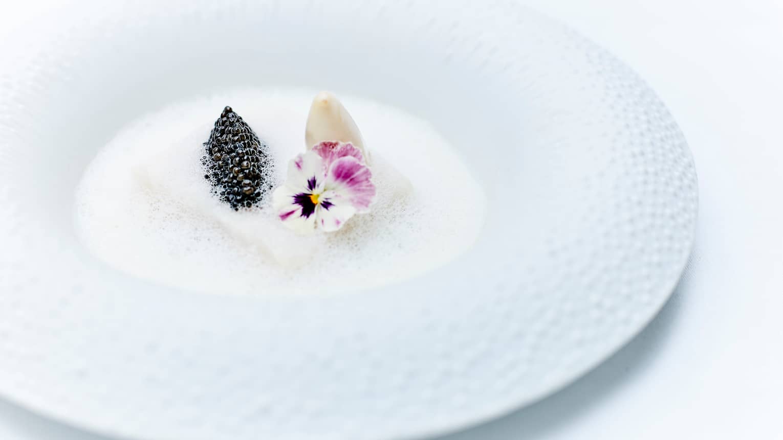 Caviar, purple flowers in white foam in dish