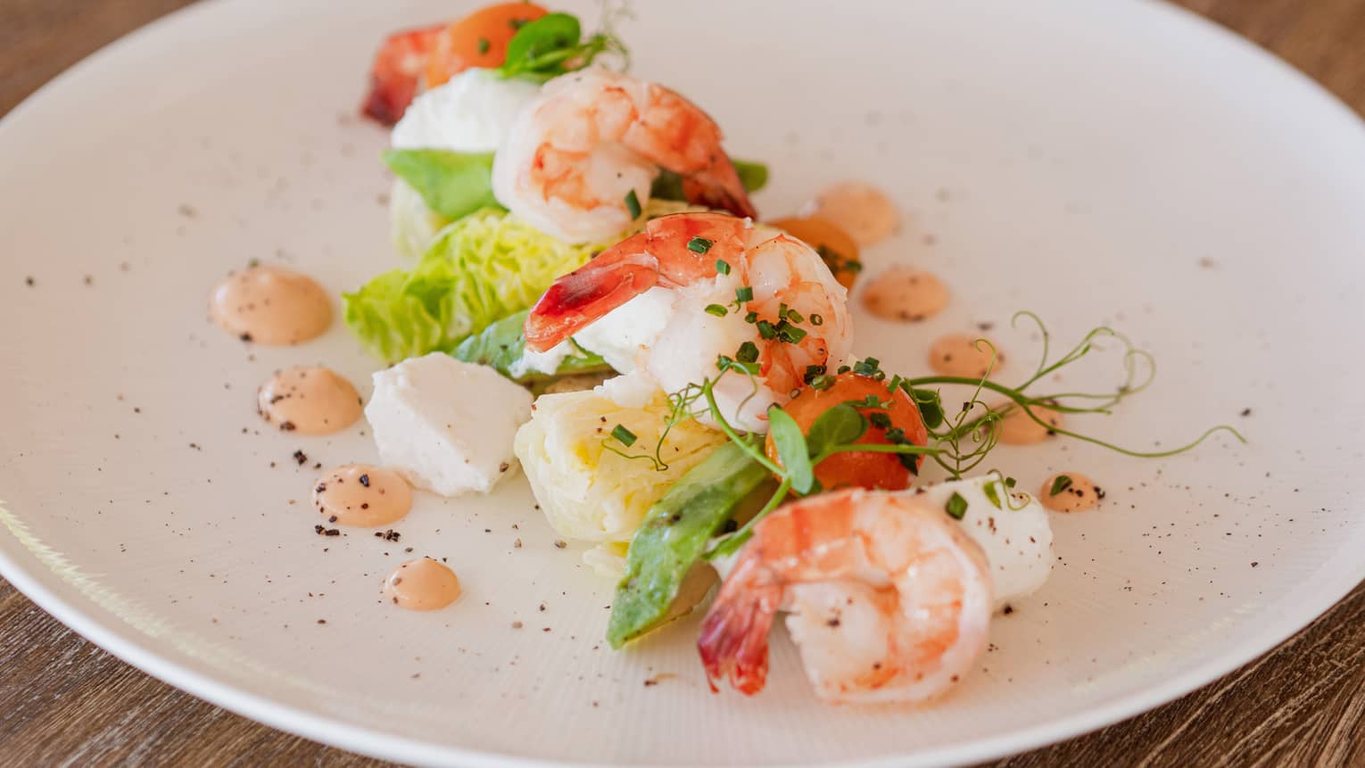 Shrimp Panzanella Salad Garnished with Microgreens on white plate dotted with Aioli