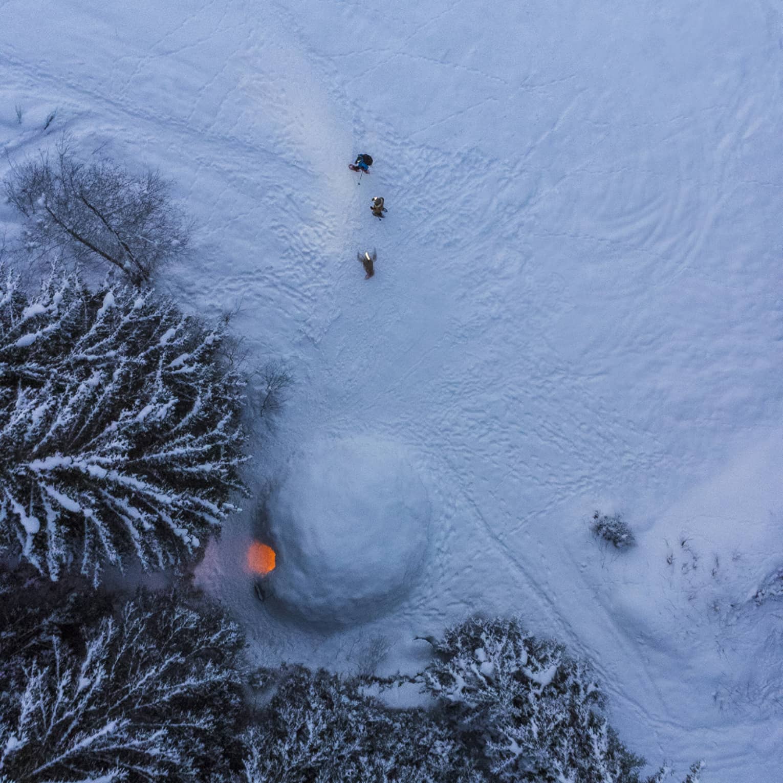 Aerial view of an igloo at night; firelight spills out the doorway onto the trees and footprints cross the fresh powder. 