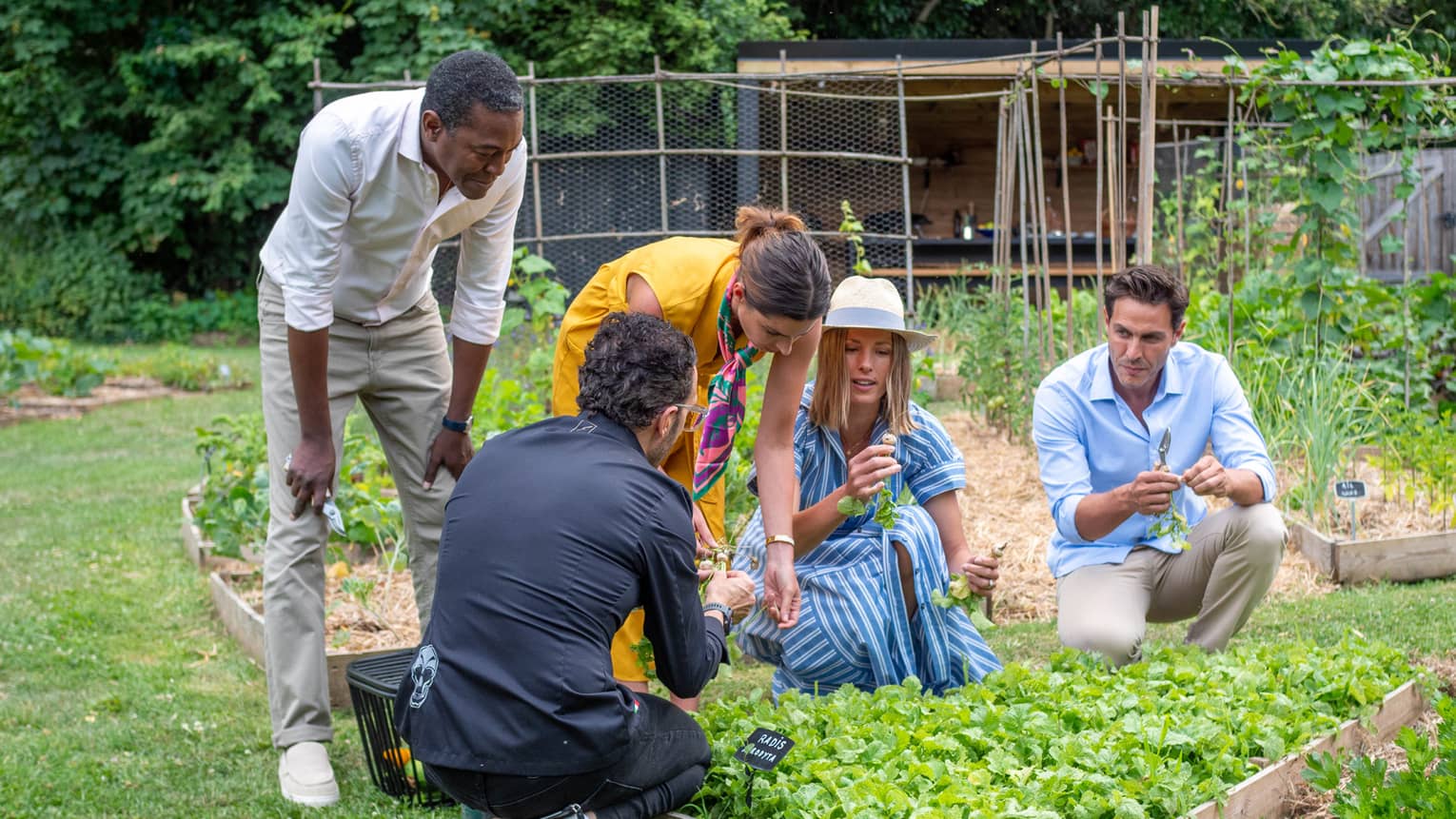 Men and woman examine herbs in a garden with a chef