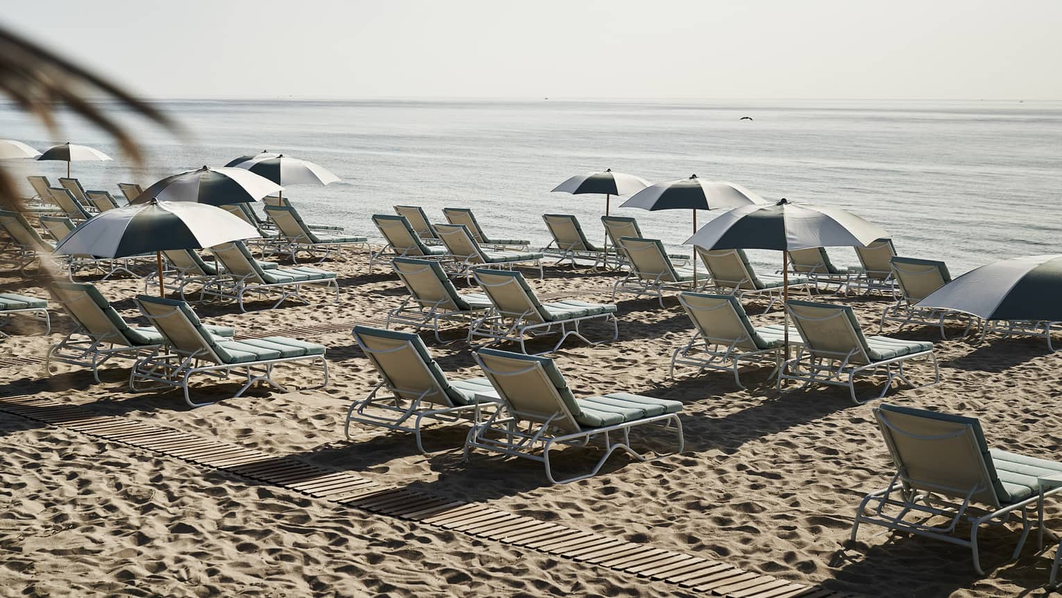 Lounge chairs and umbrellas on a beach.