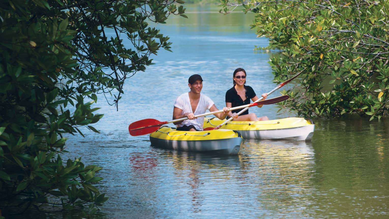 Two people with paddles in yellow kayaks pass through trees on water 
