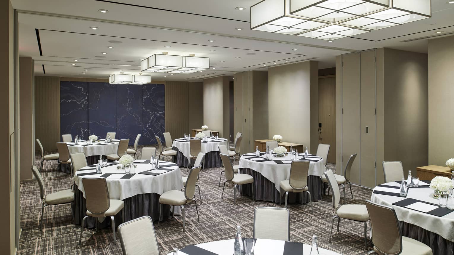 Laurentian meeting room