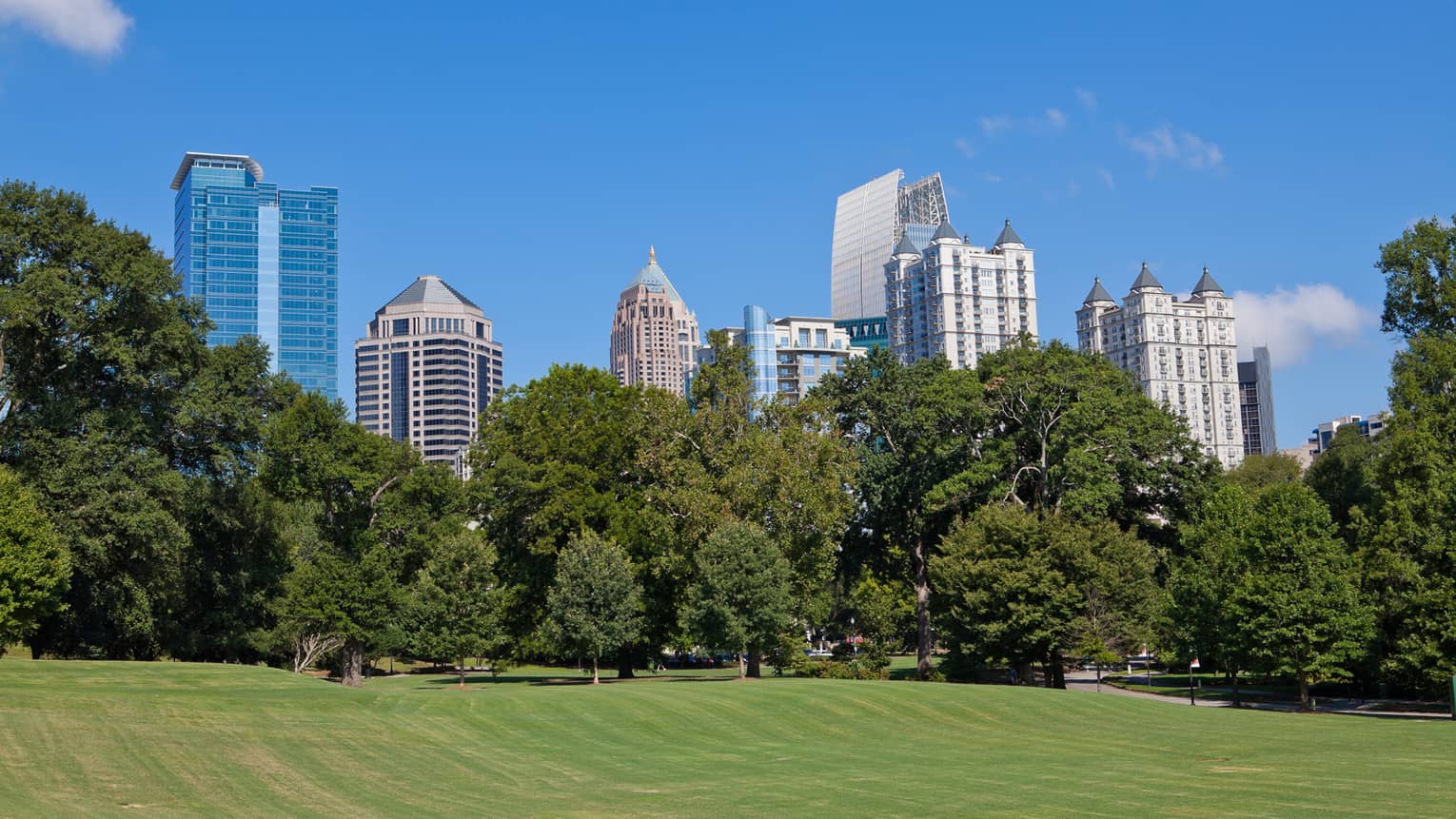 A park with large skyscrapers in the distance.