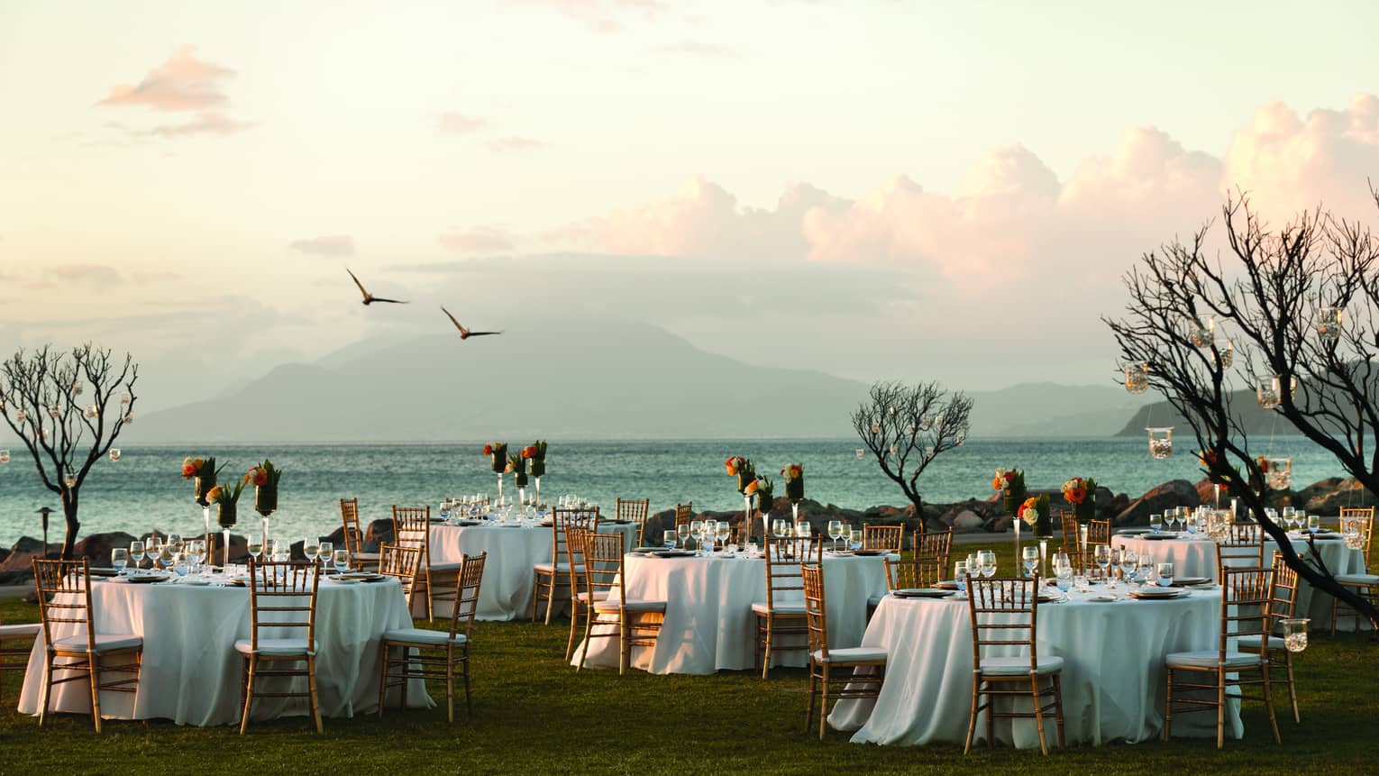Two birds fly over outdoor dining tables, small trees on lawn by ocean 