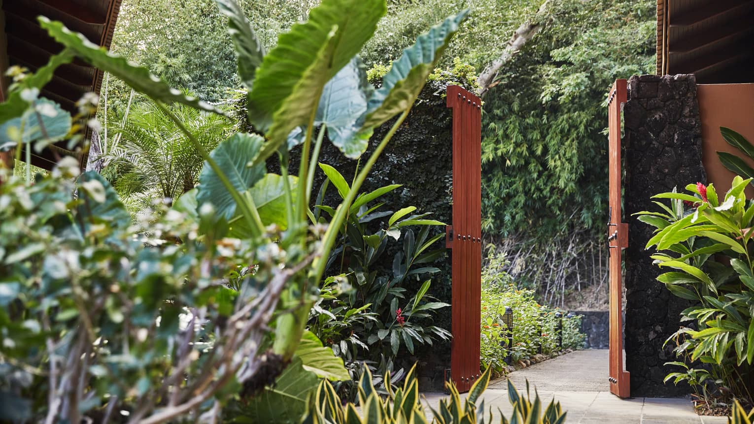 Miramar Suite Plants and Gate