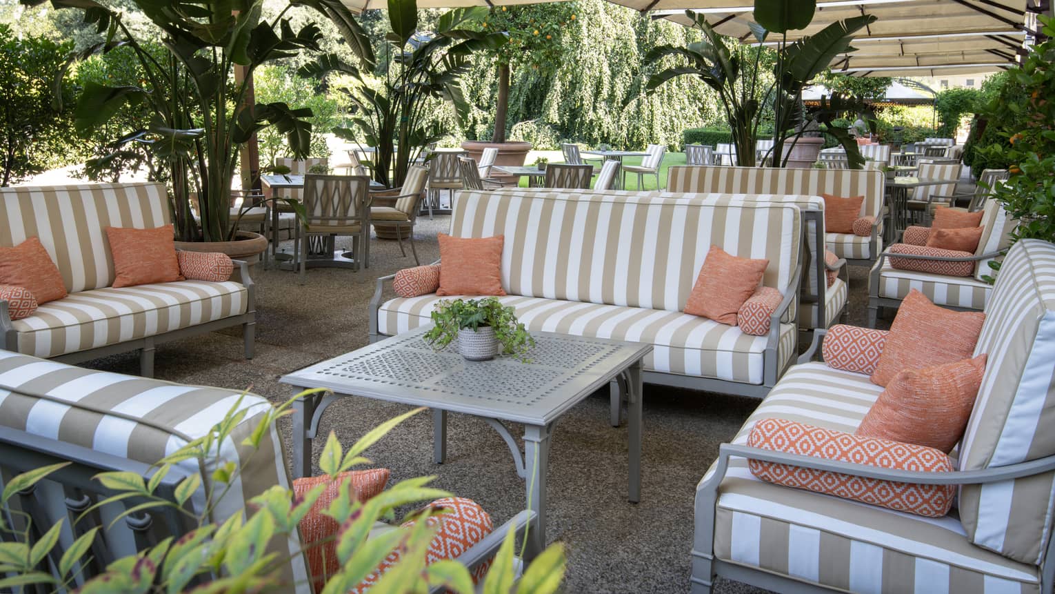 An outdoor sitting area with sofas, plants and tables.