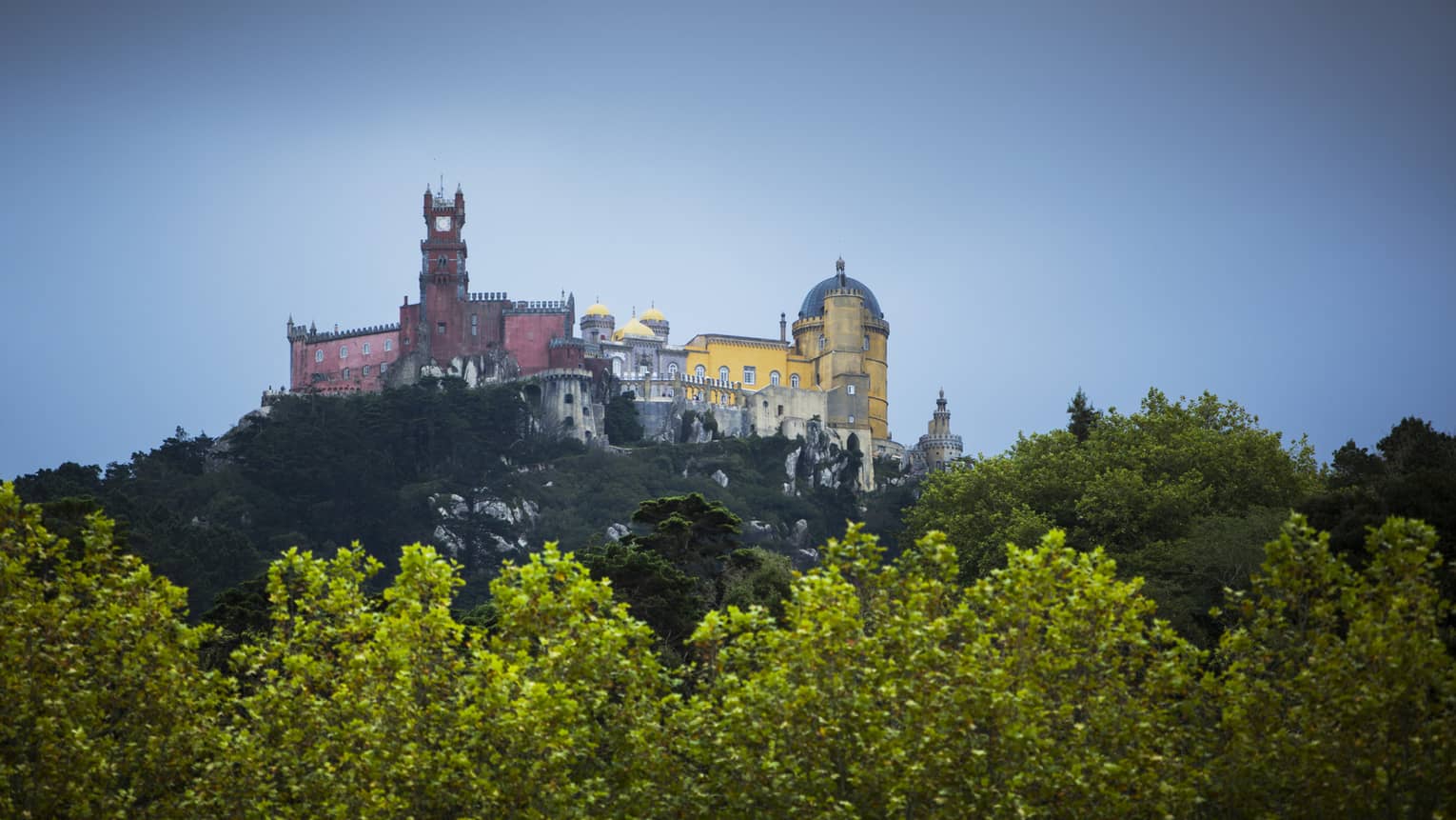Yellow and pink ornate buildings in the distance are peaking above a teeline in Lisbon. 
