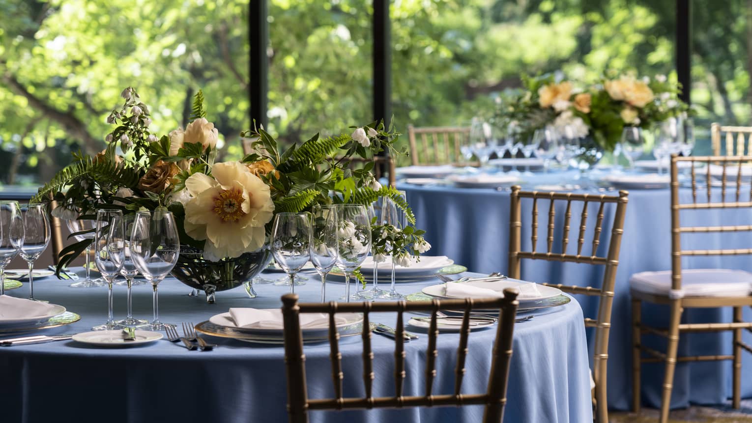 Round tables outside with blue tablecloths and orange flowers centerpieces.