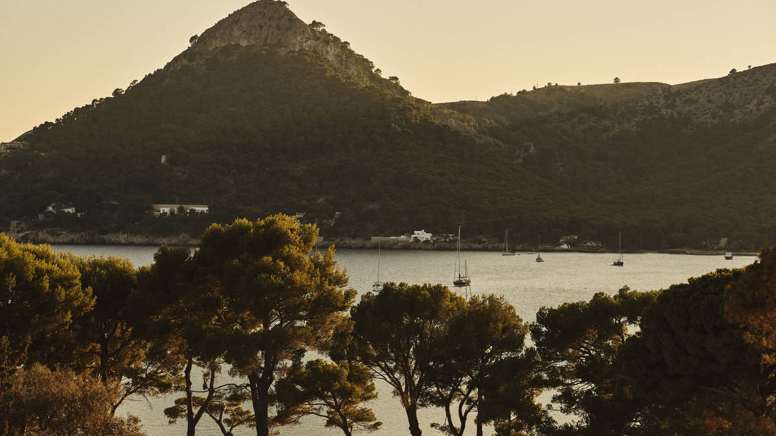 View of the Bay of Formentor and pine trees from Four Seasons Resort Mallorca