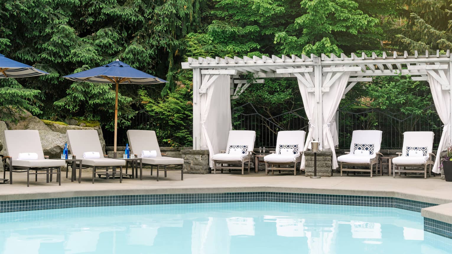Lounge chairs around an outdoor pool with tall trees surrounding them.