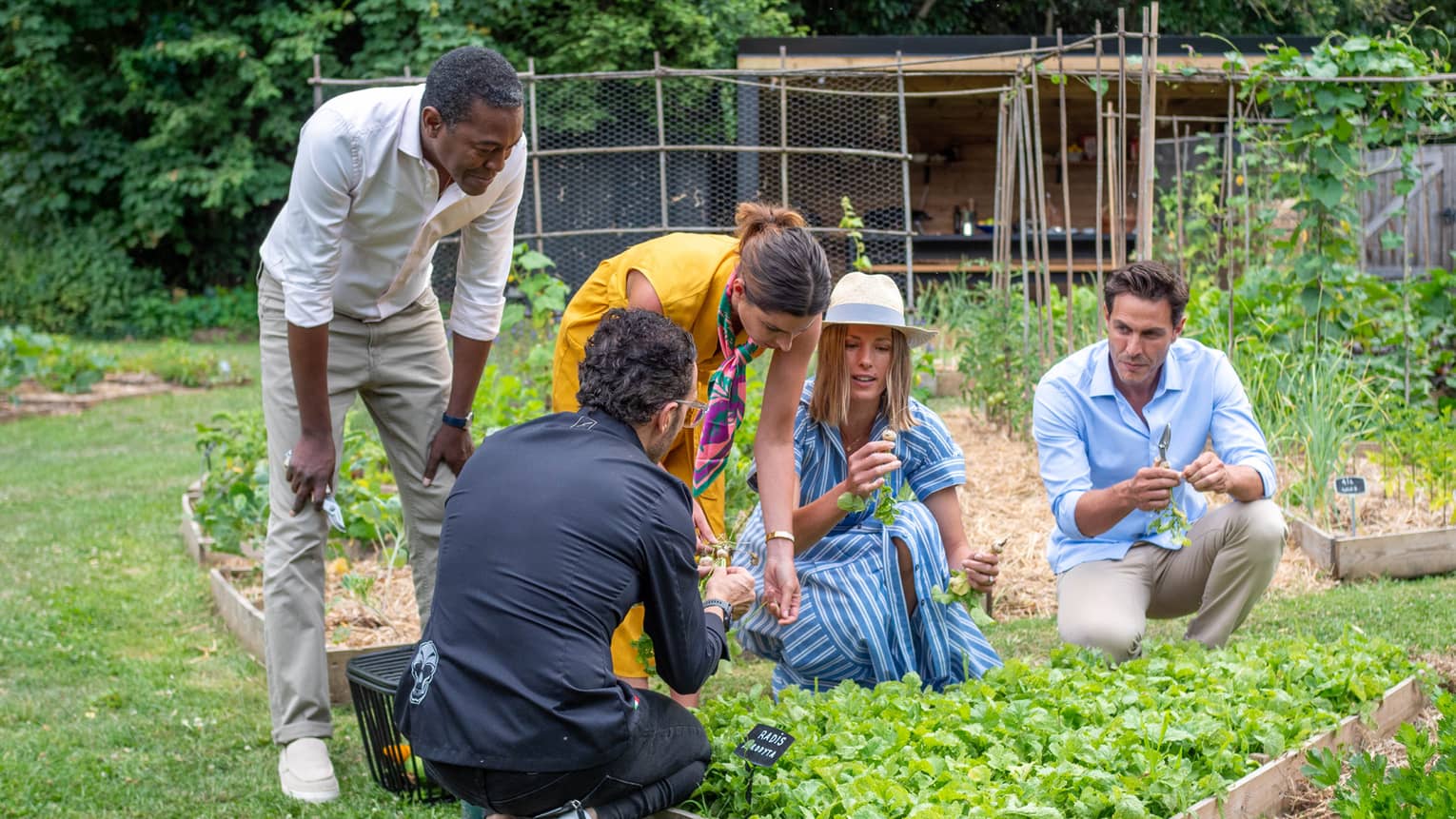 Men and woman examine herbs in a garden with a chef