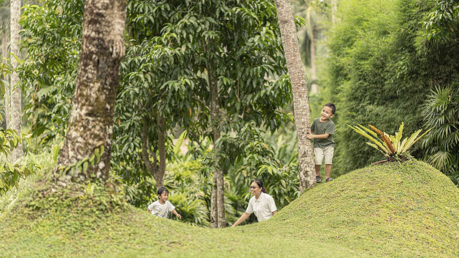Two small children watched by an adult run and play among palm tress in grass-covered hills.