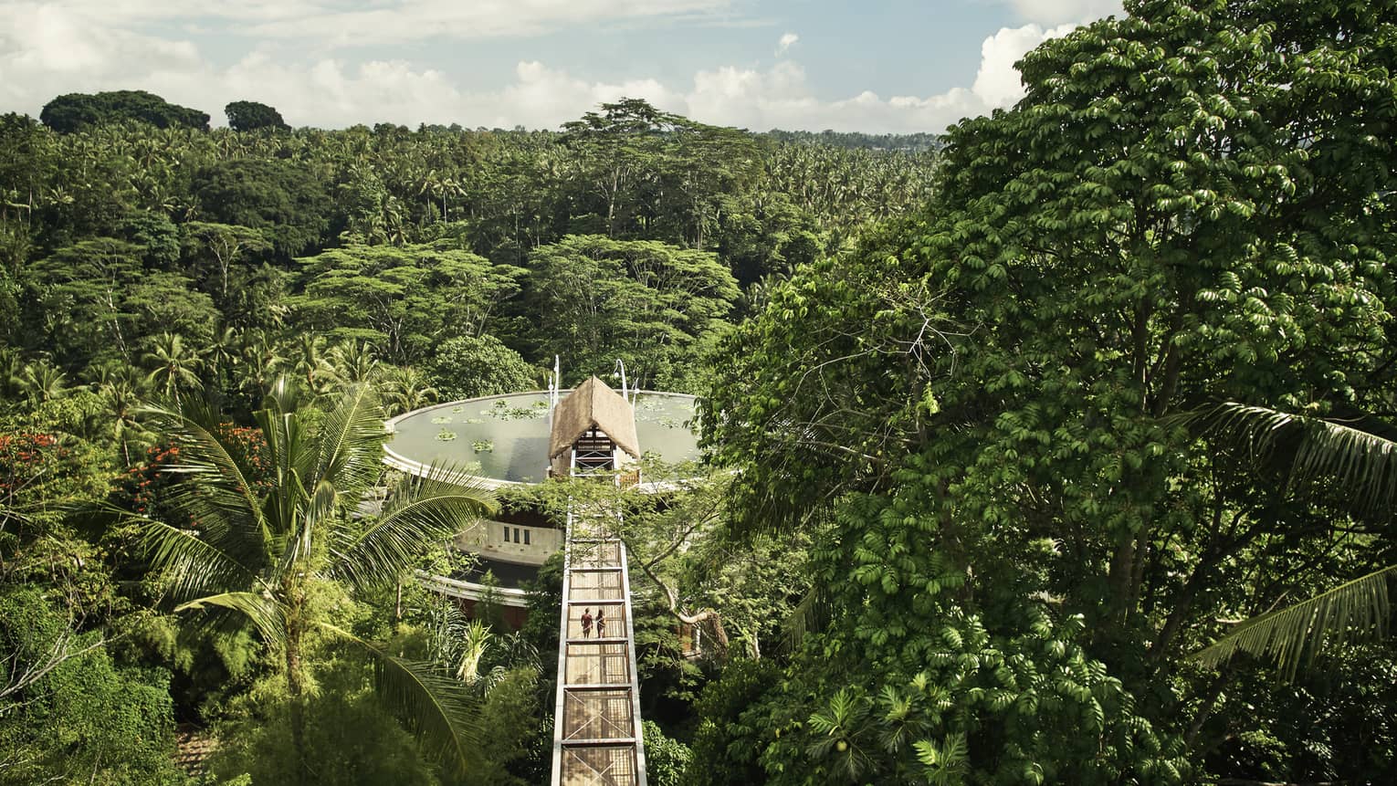 Aerial view of Four Seasons Bali at Sayan resort with wood footbridge leading to roof, lotus pond, palms around