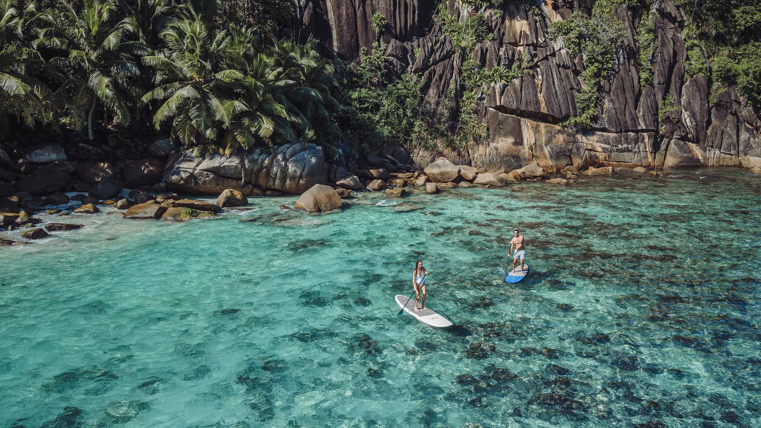 Aerial view of two stand-up paddleboarders navigating clear turquoise waters by the shore of a towering, verdant bluff.