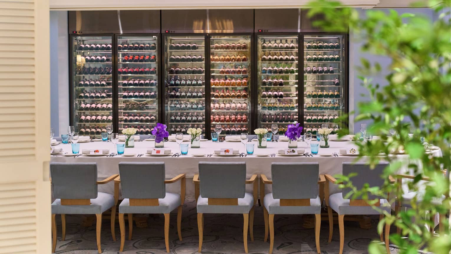 A large dining table with elegant place settings and lined by comfortable chairs before a wall of well-stocked wine fridges.