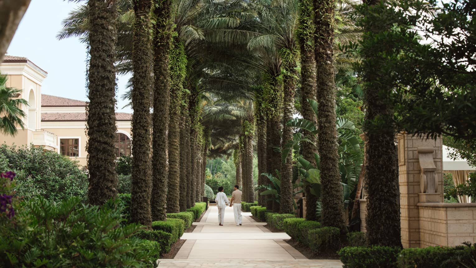 Sidewalk with palm trees on both sides.