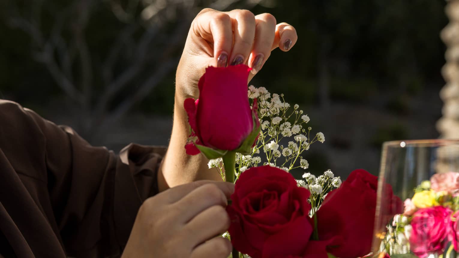 Person's hands arranging three stems of red roses in a glass vase with springs of baby's breath